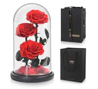 Lian Preserved Flower Real Rose in Glass Dome, Preserved Roses Never Withered Romantic Gifts for Female, Valentine's Day, Mother's Day, Birthday, Anniversary, Wedding and Christmas
