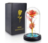 Lian Preserved Rose Lamp for Women Forever Flower Gift for Her