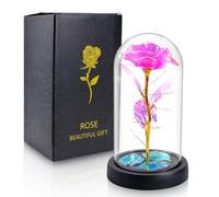 Lian Preserved Rose Lamp for Women Forever Flower Gift for Her | Romantic Birthday Gift Mother’s Day Flower Gift for Mom Valentine’s Day Anniversary Present