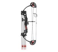 LianCTCO Complete Youth Compound Bow Set for Beginners, Includes 12 Arrows, Target Paper, Single Pin Sight, Adjustable 16-29lbs Draw Weight for Practice (Black)