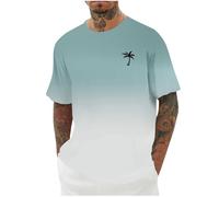 liangp Mens T Shirts Men's Fashion Casual T-Shirts Breathable Lightweight Tee Top Hawaiian Print Summer Camping Hiking Holidays Everyday Wear T Shirt