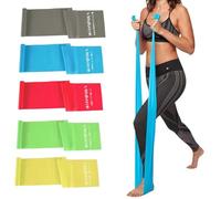 5 Pcs Professional Resistance Bands. Latex-Free, Elastic Band, Work Out Bands, Stretch Bands for Working Out Women or Men, Exercise Bands Set for Physical Therapy, Yoga, Pilates (5 Colour Set)