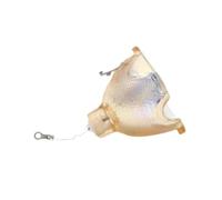 LIANPENGBU LMP-E190 Replacement Bulb for VPL-CX161CX120 CX130 CX100 CX150 VPL-CX155 VPL-EX5 VPL-EW5 VPL-ES5 EX50(CB)