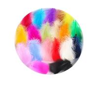 LIANRISES 600pcs Colorful Craft Feathers Natural Goose Feathers Coloured Feathers for Crafts Natural Feathers for Crafting Rainbow Feather for Carnival Hat Birthday Costume Party DIY Dream Catcher