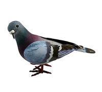 LianSinGo Simulation Pigeon, Artificial Simulation Foam Bird, Cute Fake Pigeon Model Removable Mini Imitation Animal Home Garden Ornament Decoration for Bird Lovers(SIZE:1 Pc)