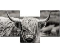lianyibo Farmhouse Scottish Highland Cow Canvas Wall Art Print Rustic Western Decor Black and White Animal Painting Home Decor(30x40cmx3/Frameless)