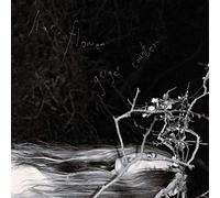 Liar, Flower - Geiger Counter