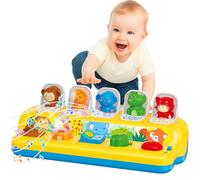 Libay Pop up Toys for 1 Year Olds Girls Boys Montessori Baby Toys with Music & Light, Animal Sound Early Development Interactive Toys Gifts for Toddlers 1 2 3 4 Year Old