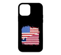 Liberia Flag Liberian Roots USA America Liberian Pride Case for iPhone 12 mini
