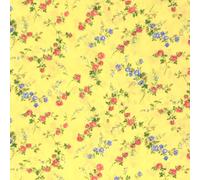 Liberty Fabric Tana Lawn ™, Elizabeth B (0.5 Metre)