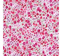 Liberty Fabric Tana Lawn ™, Phoebe H (0.5 Metre)