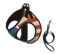 Liberty Statue With American Print Small Dog Harness And Leash Set, Adjustable Soft Vest With 360° Reflective Straps For Cats Puppy