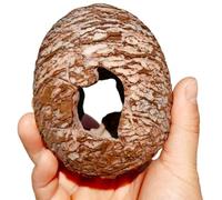 LIbgiubhy Low Maintenance Reptiles Habitat Upgrade Dinosaur Hide Cave with Textured Exterior Terrarium Stress Relief Decor Stress Relief Aquarium Decor for Reptiles
