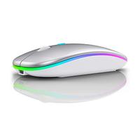 LiBO&HKBO Bluetooth Mouse Dual Mode 2.4Ghz Wireless Mouse, LED, Rechargeable, Mute button, Portable Optical Office Mouse, for PC, MacBook, Laptops, Windows, Mac OS, iPad OS