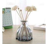 LIBOOI Reed Diffuser Bottles, Glass Diffuser Bottles Empty Decorative Vase Jars Oil Diffusers Container Fragrance Accessories for DIY Essential Oil Diffuser Gift