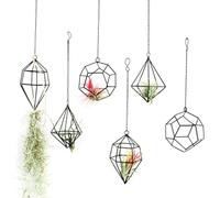 libproqia Hanging Air Plants Holders Airplants Planter Hanger Black Geometric Metal Himmeli 6pcs Tillandsia Air Fern Display Racks for Hanging Airplants