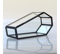 libproqia Small Glass Coffin Box with Lid,Black Trinkets Gothic Storage,Halloween Glass Terrarium, Vintage Vampire Keepsake Display Holder,Jewelry Organizer Gift for Dad,Boys