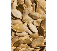 Libreta pipas de calabaza: Cuaderno con líneas y diseño original