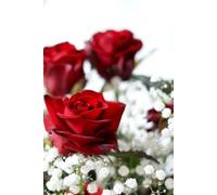 Libreta ramo de rosas rojas y flores blancas: Cuaderno con líneas para diario personal, notas creativas, journaling y regalo floral (Libretas de flores)