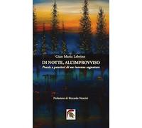 Libri Lebrino Gian Maria - Di Notte, All'improvviso. Poesie E Pensieri Di Un Insonne Sognatore