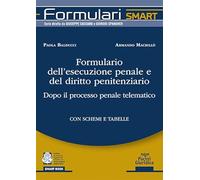 Libri Paola Balducci / Armando Macrillo - Formulario Dell'esecuzione Penale E Del Diritto Penitenziario. Dopo Il Processo Penale Telematico
