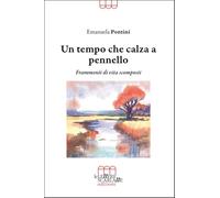 Libri Pontini Emanuela - Un Tempo Che Calza A Pennello. Frammenti Di Vita Scomposti