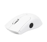 LICAEVEY Wireless Fingerprint Mouse, 2.4G BT5.0 USB Biometric Security, Rechargeable Battery for Wins Hello One Touch Login File Encryption PC Laptop