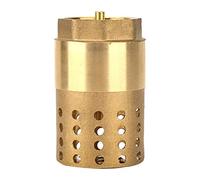 Liccx DN25 Brass Check Valve, Female Thread, Gold
