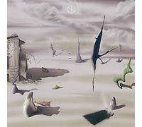 LICE - WASTELAND: WHAT AILS OUR PEOPLE IS CLEAR [VINYL]