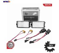 LICENCE PLATE LIGHT 72SKV502 FOR VW GOLF/VI/Convertible/VII/Van PHAETON CADDY