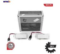 Fits ESEN SKV 72SKV526 LED license plate lights FORD C-max II Fiesta VI Focus I