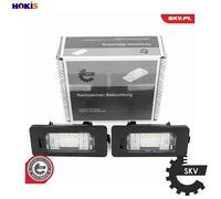 Fits ESEN SKV 72SKV531 BMW 1 2 3 4 5 X1 X3 X4 X5 X6 License Plate LED Lighting,