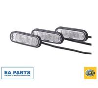 Licence Plate Light HELLA 2KA 959 640-102 fits Centre/Rear