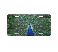 License Plate 30 x 15 CM Car Front License Plate peacock License Plate Cover Aluminum Vanity Tag for Car Decoration Plates Tag with 4 Holes
