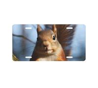 License Plate 30 x 15 CM Car Front License Plate Squirrel Funny Animal License Plate Cover Aluminum Vanity Tag for Car Decoration Plates Tag with 4 Holes