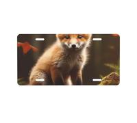 License Plate 30 x 15 cm Personalized Front License Plates Funny Vanity Plates Front Tag Plate Small Fox Novelty License Plates Women Car Accessories