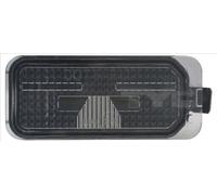 License plate lamp both sides W5W 15-0285-01-9 TYC for FORD FORD USA