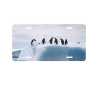 License Plate Penguins on the Iceberg License Plate Cover with 4 Holes License Plate for Car Aluminum Vanity Tag Decoration Plates Tag Standard Size 30 x 15 CM