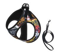 License Plate Print Dog Harness Small Sized And Leash Set, Step In Soft Light Puppy Vest Breathable Mesh Pet Harness