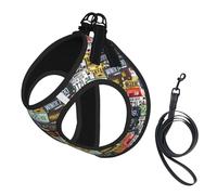 License Plate Print Reflective Pet Leash Vest For Small Dogs & Cats, Adjustable Outdoor Walking Hiking Vest