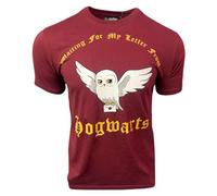 Licensed Unisex Harry Potter Hedwig t-Shirt Slogan Printed Waiting for Letter from Hogwarts Maroon, XS to 2XL (UK, Alpha, M, Regular, Regular, Maroon)