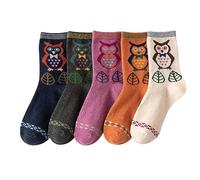 LICHENGTAI 5 Pairs Women Socks Thicken Warm Wool Stocking Cartoon Owl Pattern Floor Socks Casual Socks for Ladies Teen Girls
