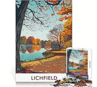 Lichfield City 1000 Piece Jigsaw Puzzle for Teenagers Decompress Tight Connection Fun Challenge Art Display (38x26cm)