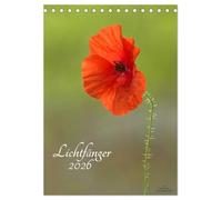 Lichtfänger (Tischkalender 2026 DIN A5 hoch), CALVENDO Monatskalender: Wunderschöne Lichtmomente - Die Welt der Blumen und Pflanzen in sehr zarten lichtdurchfluteten Detailaufnahmen