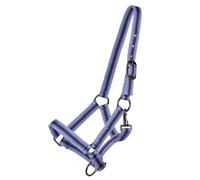 Licol de poulain collection pour cheval QHP