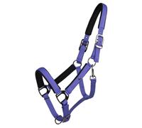 Licol pour cheval QHP Deluxe