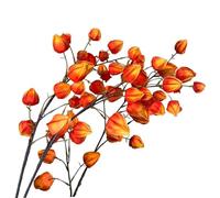 Licsaliwe Chinese Lantern Flowers Artificial, 3Pcs Orange Faux Lantern Plant Branches for Home Shop Winter Fall Decor/ 38.2in