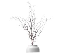 Licsaliwe Faux Antler Tree Branches, Plastic Twig Artificial Dried Branches for Flower Arrangement Christmas Party Supplies Home Decor/47.2 Inch