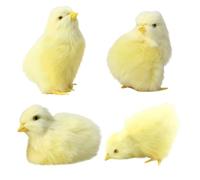 Licsaliwe Simulation Plush Baby Chicks 4Pcs, Realistic Easter Animal Toys 4 Poses for Spring Photo Props Basket Decoration