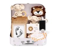 Lictin Baby Shower Gifts, Newborn Baby Gifts Basket, Unisex Baby Gift Set with Baby Blanket, Baby Security Blanket, Baby Rattle, Baby Bib, Decison Coin, Keepsake Footprint, Infant Gift Set